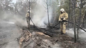 Выявлять лесные пожары в Казахстане доверят искусственному интеллекту