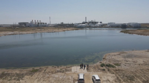 Сточные воды загрязняют пастбища в Атырауской области