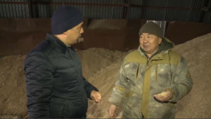 Новый механизм поддержки аграриев ввели в Казахстане