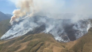 МЧС: Пожар в Аспара-Меркенском лесничестве локализовали