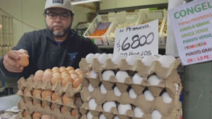Стоимость куриных яиц в Чили выросла на треть