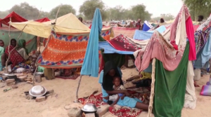 Суданда 20 млн тұрғынға аштық қаупі төніп тұр
