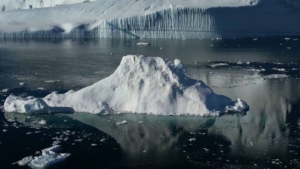 Две трети ледников исчезнут к 2100 году – ученые