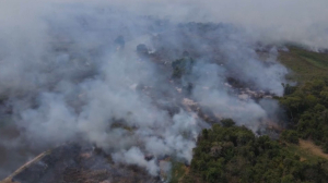 Пожары наносят ущерб водно-болотным угодьям в Бразилии