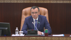 М.Ашимбаев: В рейтинге прогресса ЦУР Казахстан теряет позиции
