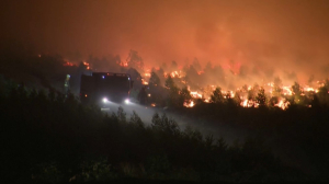 Лесной пожар вспыхнул на севере Испании