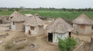 Устойчивые к наводнениям дома строят в Пакистане