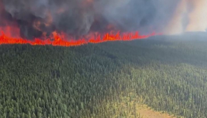 Лесные пожары захлестнули Канаду: сгорело около 4 млн га леса
