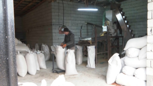 «Ауыл аманаты»: 43 жителя Балтаколя смогли открыть бизнес
