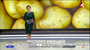 Казахстан нарастил экспорт овощей