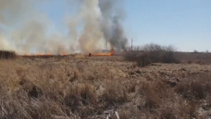 Пойма Иртыша снова горит в Павлодарской области