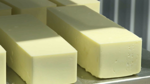 Новый цех по производству молочной продукции открыли в Алматинской области