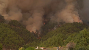 Пожар на испанском острове Тенерифе вышел из-под контроля