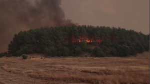 Лесной пожар вспыхнул в центральной части Греции