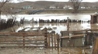 Шесть домов признаны аварийными из-за паводков в области Ұлытау