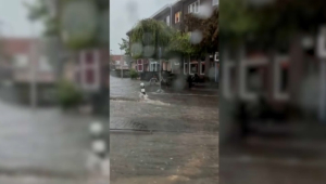 Южные провинции Нидерландов затопило после дождя