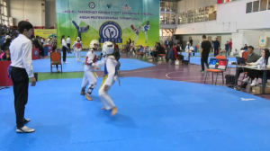Республиканский турнир по таеквондо состоялся в Алматы