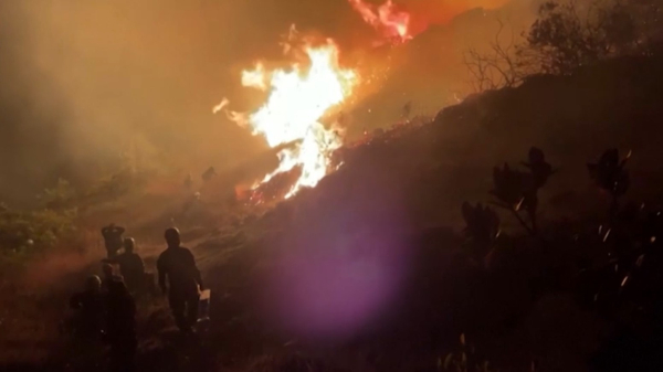 Режим ЧП объявили в Колумбии из-за массовых лесных пожаров