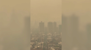 Восточное побережье США накрыло смогом