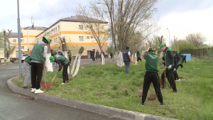 Актюбинские студенты озеленили территорию Дома престарелых