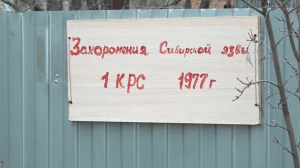Захоронение сибирской язвы обнаружили в посёлке Уральска