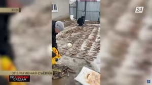 Около 500 сайгачьих рогов полиция обнаружила у жителя ЗКО | По горячим следам