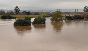 Бразильские фермеры несут убытки из-за наводнений