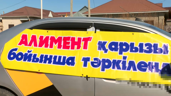 Какую сумму алиментов задолжали детям в Кызылординской области