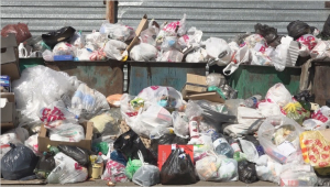 Угроза мусорного коллапса назревает в Петропавловске