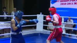 Международный турнир по боксу стартовал в Акмолинской области