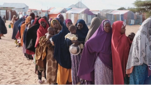 В Сомали возникла самая продолжительная в истории страны засуха