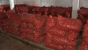 160 тысяч тонн лука пропадает на складах Казахстана