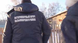 Новые очаги бешенства выявили в Омской области: в СКО усилили мониторинг