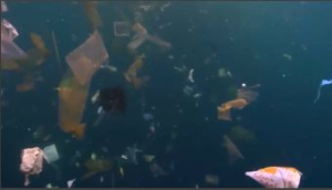 Мусорное пятно: ученые назвали количество пластика в океане