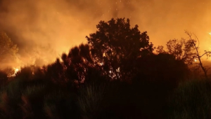 В Греции не могут взять под контроль лесные пожары