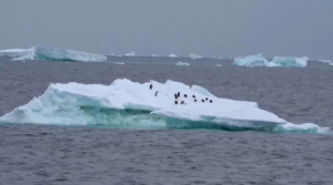 Лёд вокруг Антарктиды достиг рекордно низкого уровня
