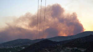 Пожары в Греции: в атмосферу попала мегатонна CO2