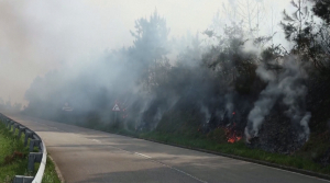Крупные лесные пожары бушуют на севере Испании