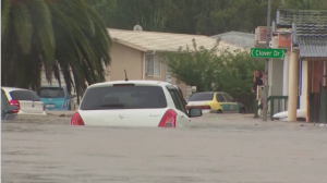 Проливные дожди вызвали мощные наводнения в Окленде