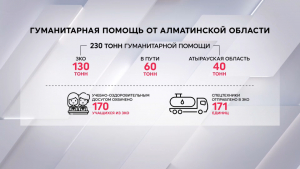 Алматинская область собрала больше 230 тонн гумпомощи для ЗКО