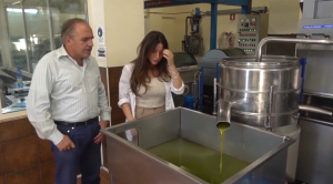 Кризис оливкового масла в Италии: цены повысили в 2 раза
