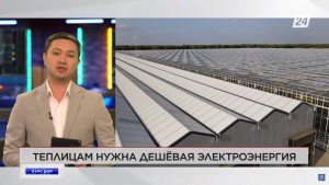 Тепличникам Казахстана нужна дешёвая электроэнергия