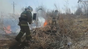 Первые степные пожары начались на востоке Казахстана