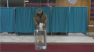 Министр обороны проголосовал на выборах