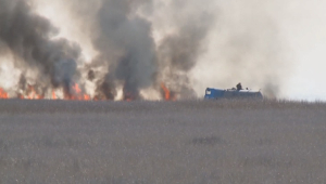 Тушение пожара продолжается в заповеднике близ Атырау