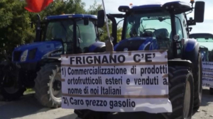 Массовые протесты фермеров не стихают в Европе