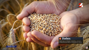Инвесторы из Катара наладят переработку зерна в Акмолинской области | Между строк
