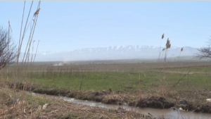 Стоимость поливной воды снизится в Енбекшиказахском районе