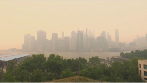 Лесные пожары стали причиной загрязнения воздуха в США