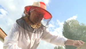 Пчеловоды Алакольского района собрали хороший урожай меда